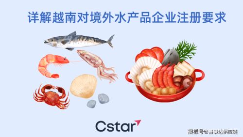 企业出口海鲜至越南的操作指南与注册要求详解
