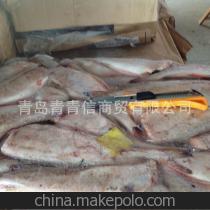 【专业厂家长期供应 品牌红鳕 欢迎来电咨询 图】价格,厂家,图片,冷冻水产品,青岛青青信商贸-