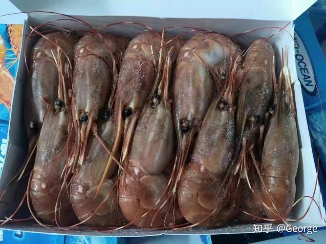 进口水产品需要那些资料